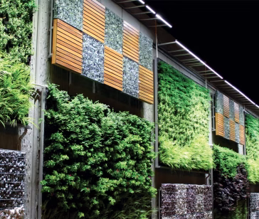 13fc33_9532c37d2e6b4da4b98e73c58d5c10d4~mv2