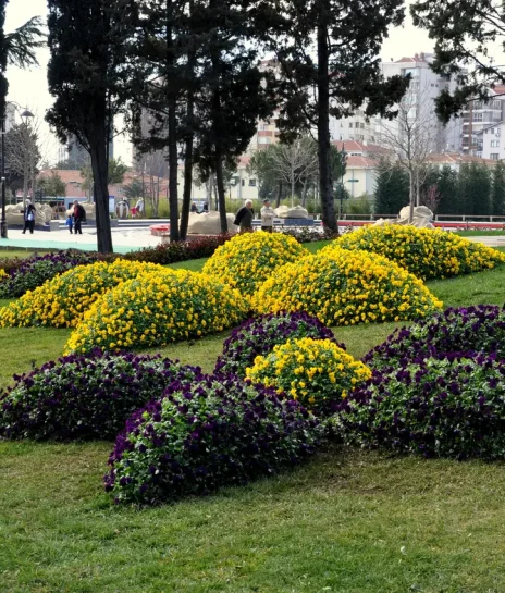 Göztepe Parkı Dekoratif Canlı Objeler (6)