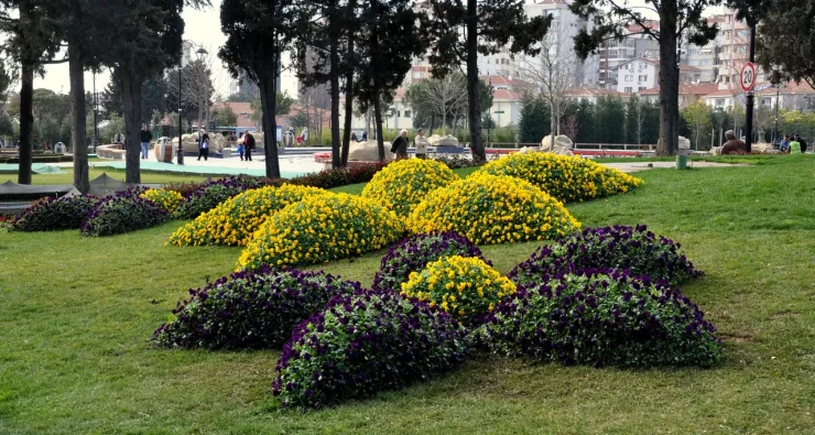 Göztepe Parkı Dekoratif Canlı Objeler (6)