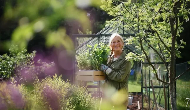 e932f867ead55131596eecc22885b0e45825c74d