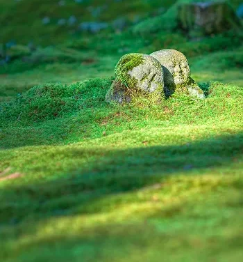 pexels-pixabay-302100 1